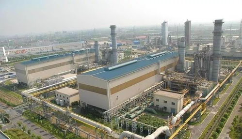 今天，上海连灯光都可溯源 绿色燃气发电机组点亮智慧都市